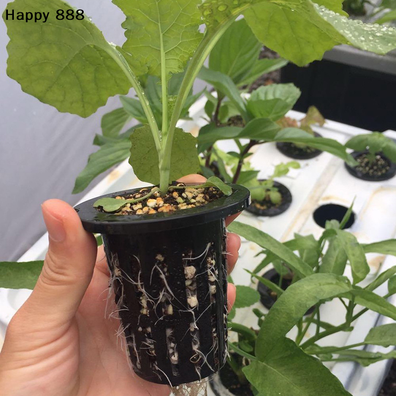 25 Pieces Of Hydroponic Basket - Food Storage Plants avaliação e preço