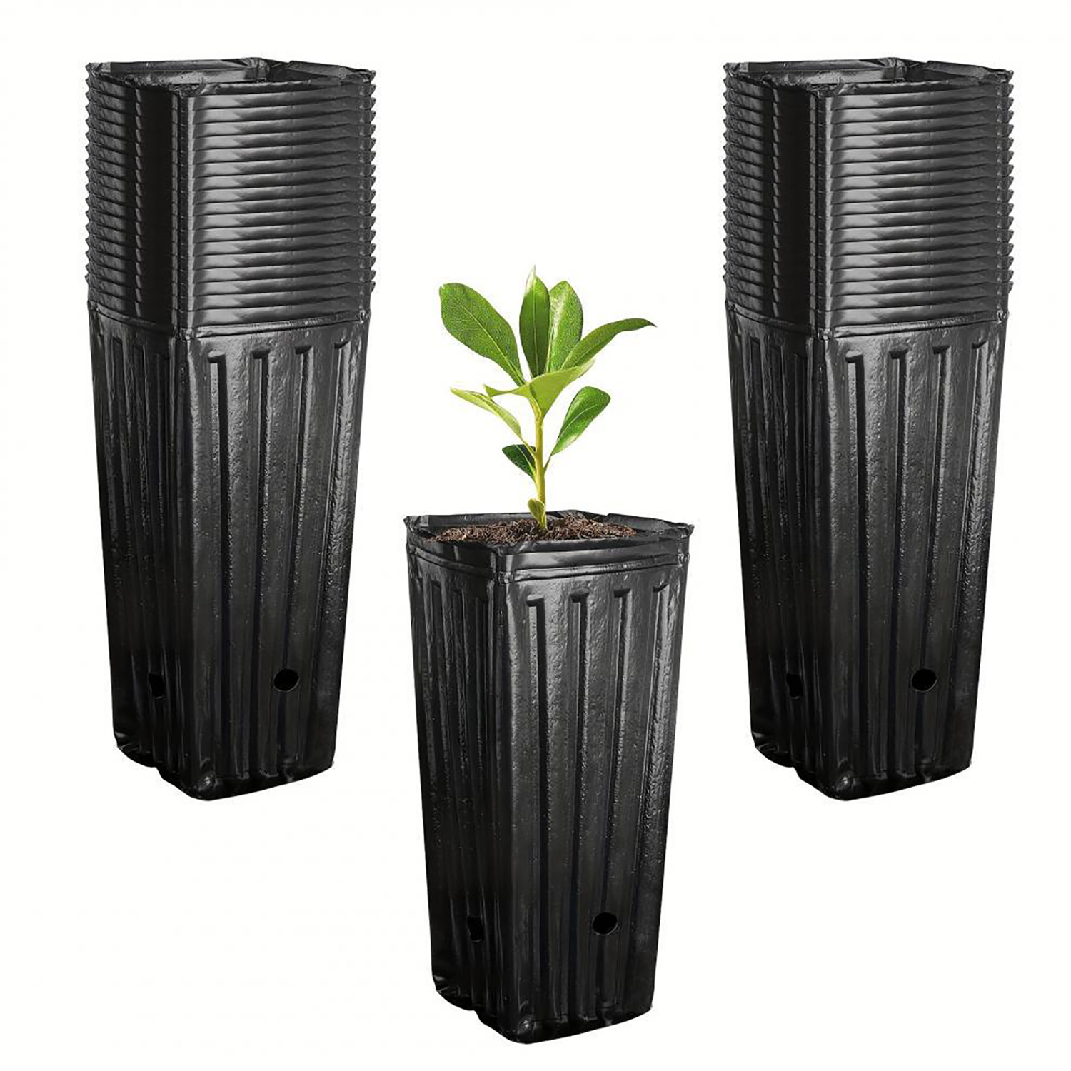 10Pcs Tall Square Plant Seedin - Food Storage Plants avaliação e preço