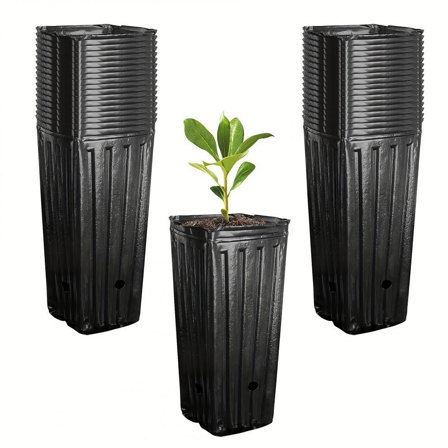 10Pcs Tall Square Plant Seedin - Food Storage Plants avaliação e preço
