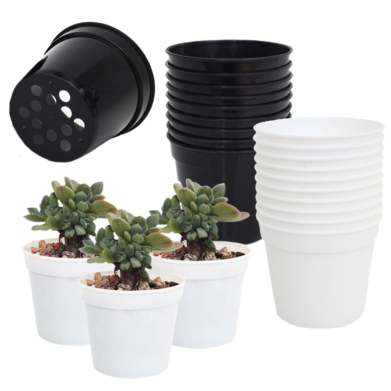 10/20pcs Round Plastic Flowerp - Food Storage Plants avaliação e preço