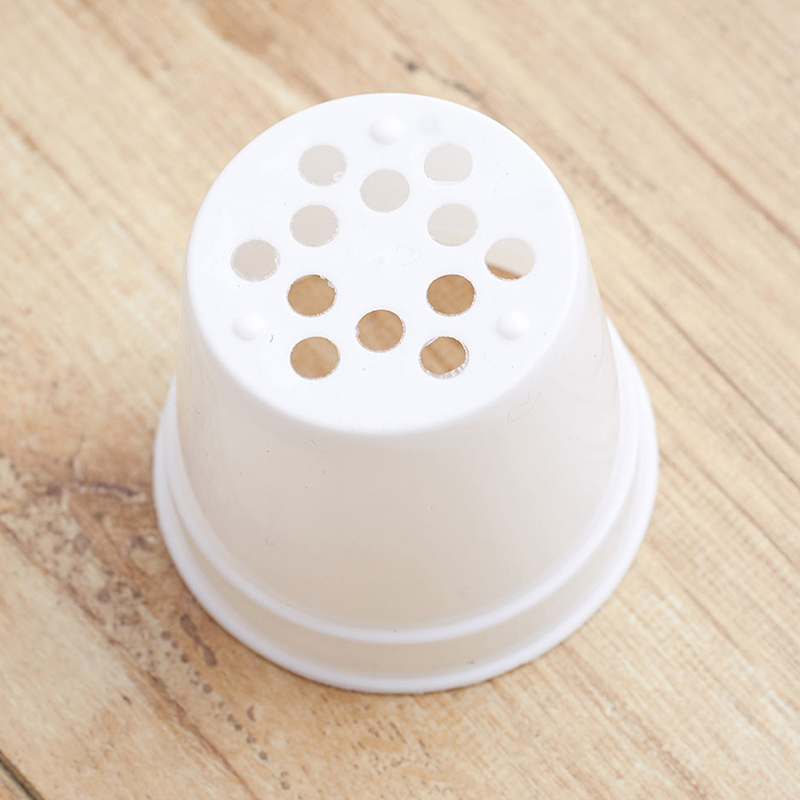 10/20pcs Round Plastic Flowerp - Food Storage Plants avaliação e preço