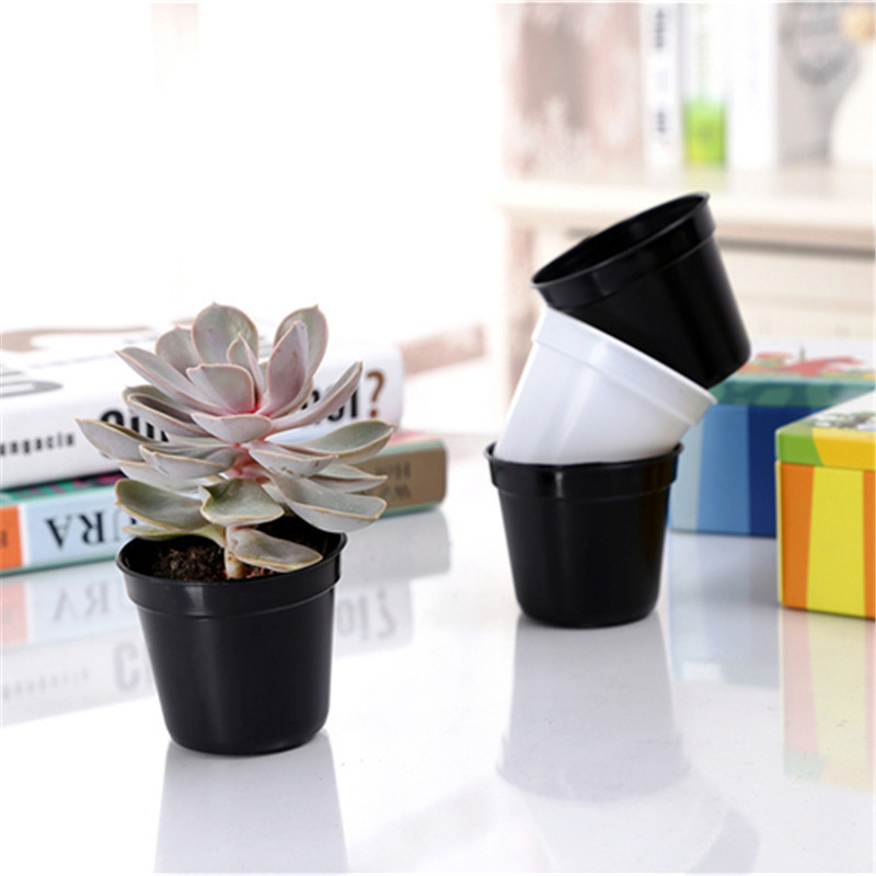 10/20pcs Round Plastic Flowerp - Food Storage Plants avaliação e preço