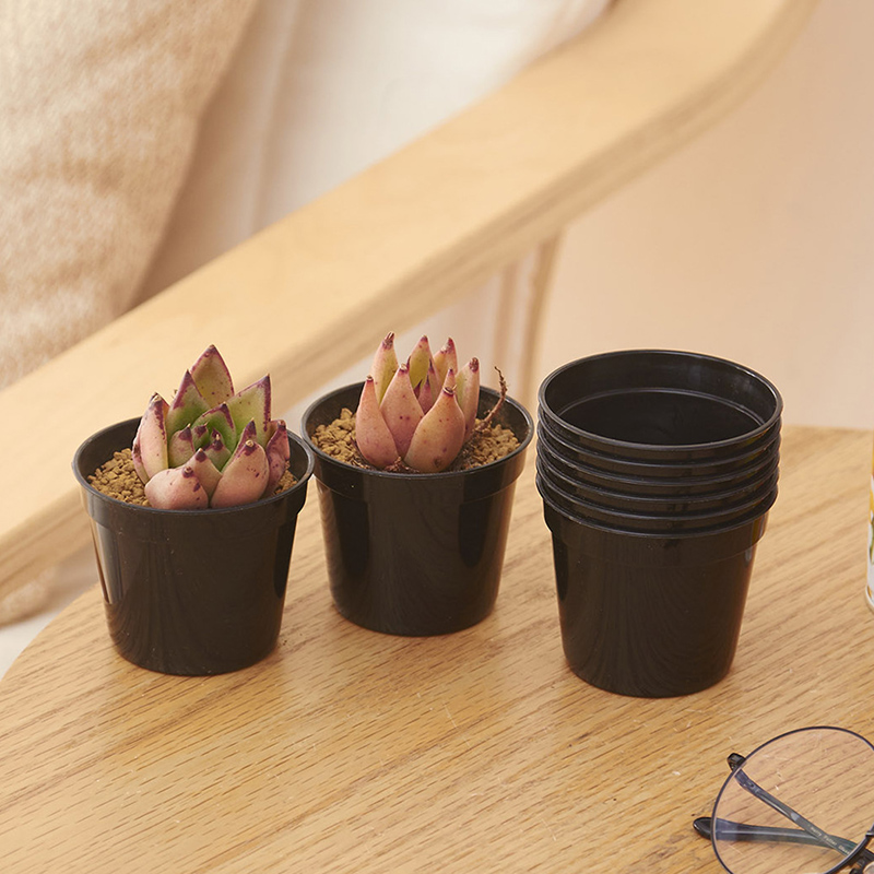 10/20pcs Round Plastic Flowerp - Food Storage Plants avaliação e preço