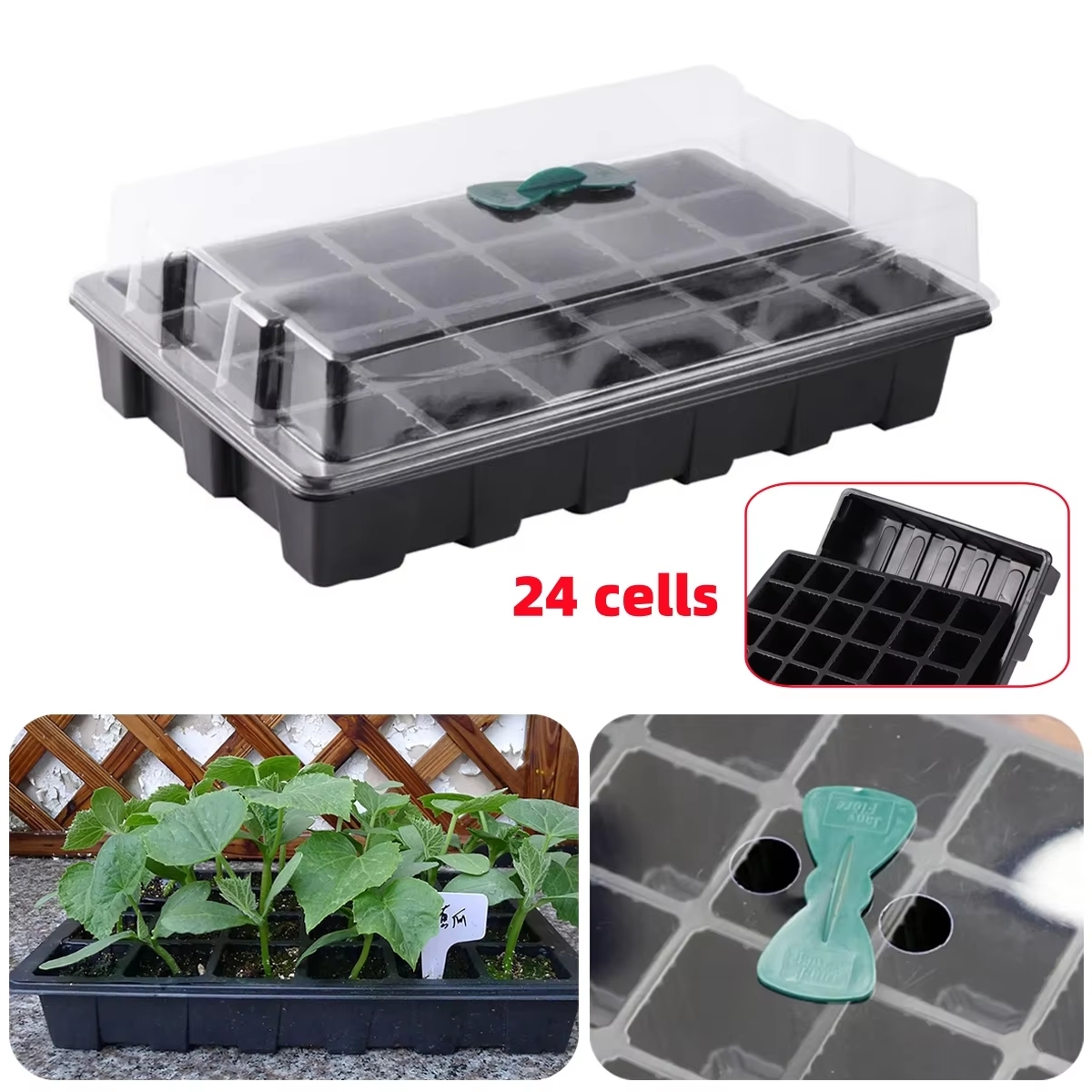 24 Cells Seedling Tray Germina - Food Storage Plants avaliação e preço