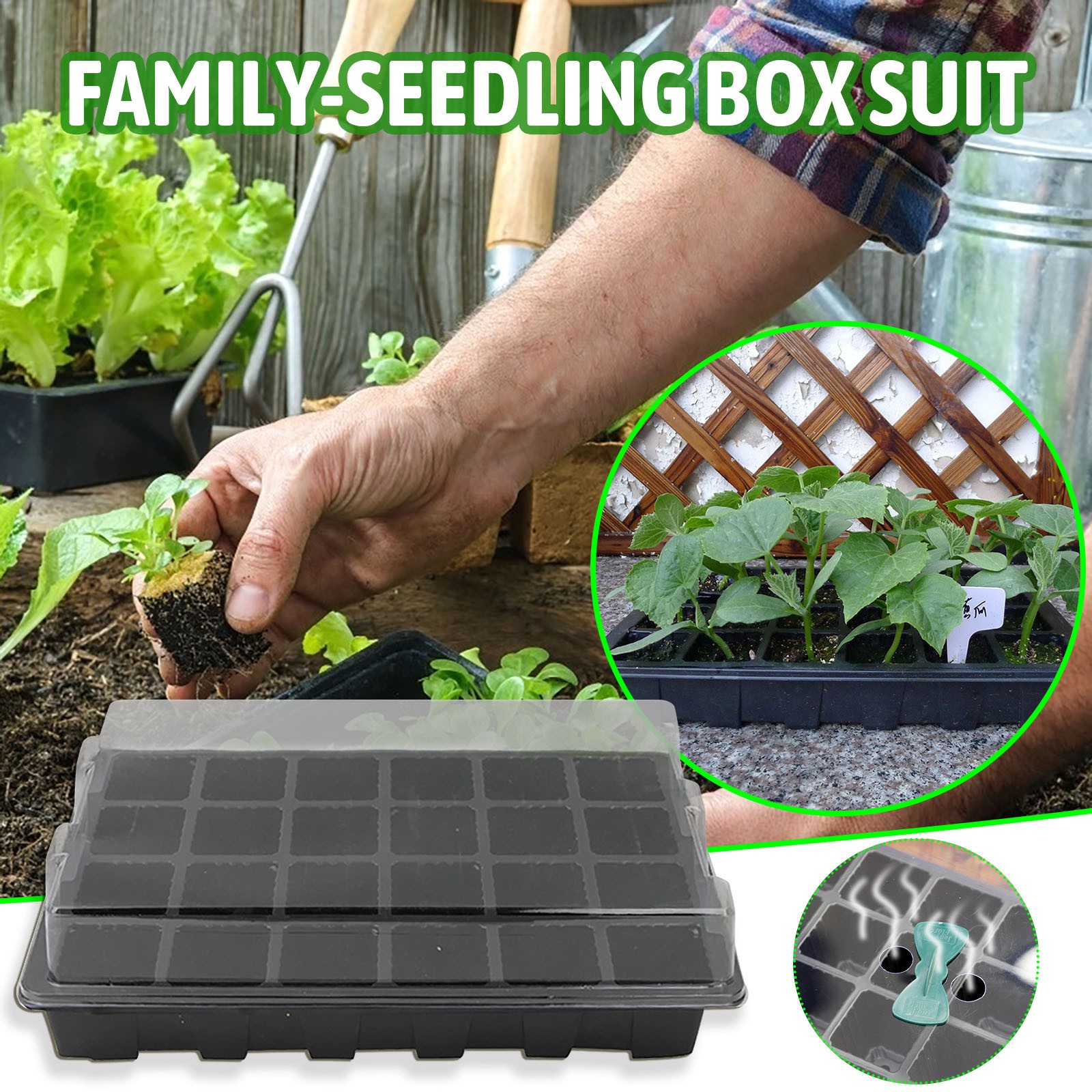 24 Cells Seedling Tray Germina - Food Storage Plants avaliação e preço