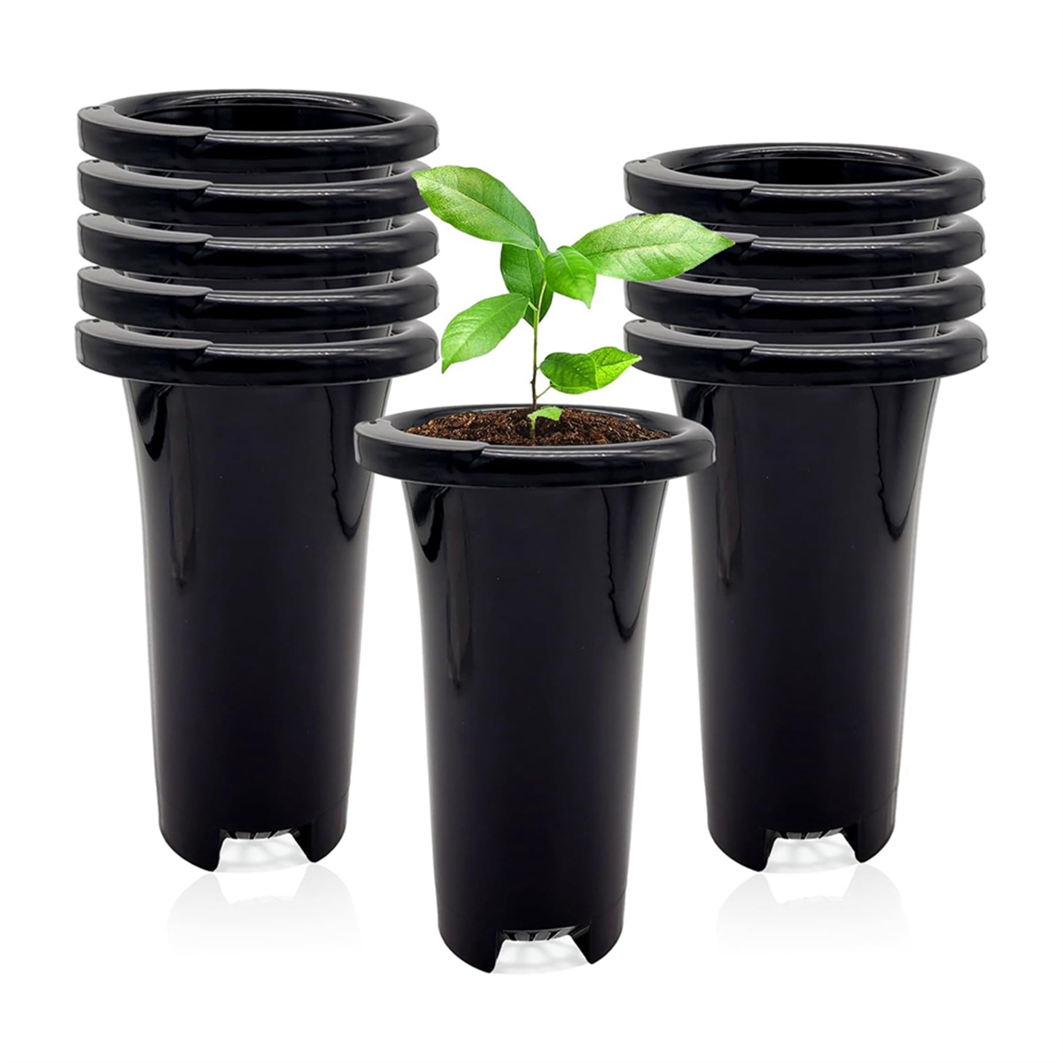 10Pcs Plastic Deep Plant Nurse - Food Storage Plants avaliação e preço