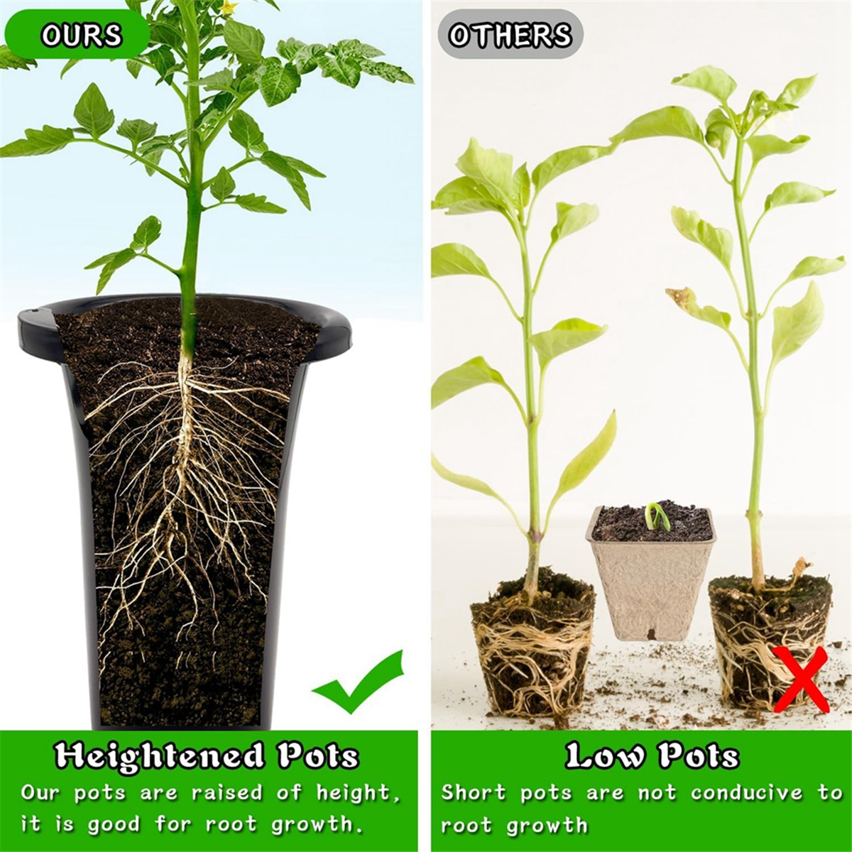 10Pcs Plastic Deep Plant Nurse - Food Storage Plants avaliação e preço