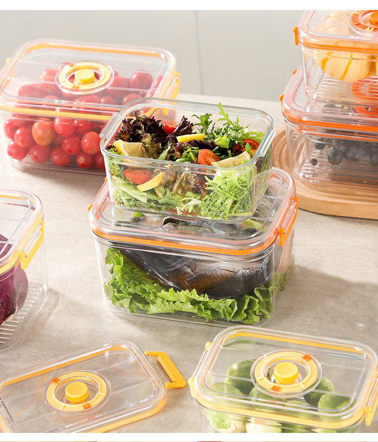 Vacuum Fresh-keeping Box Refri - Food Storage Organization avaliação e preço