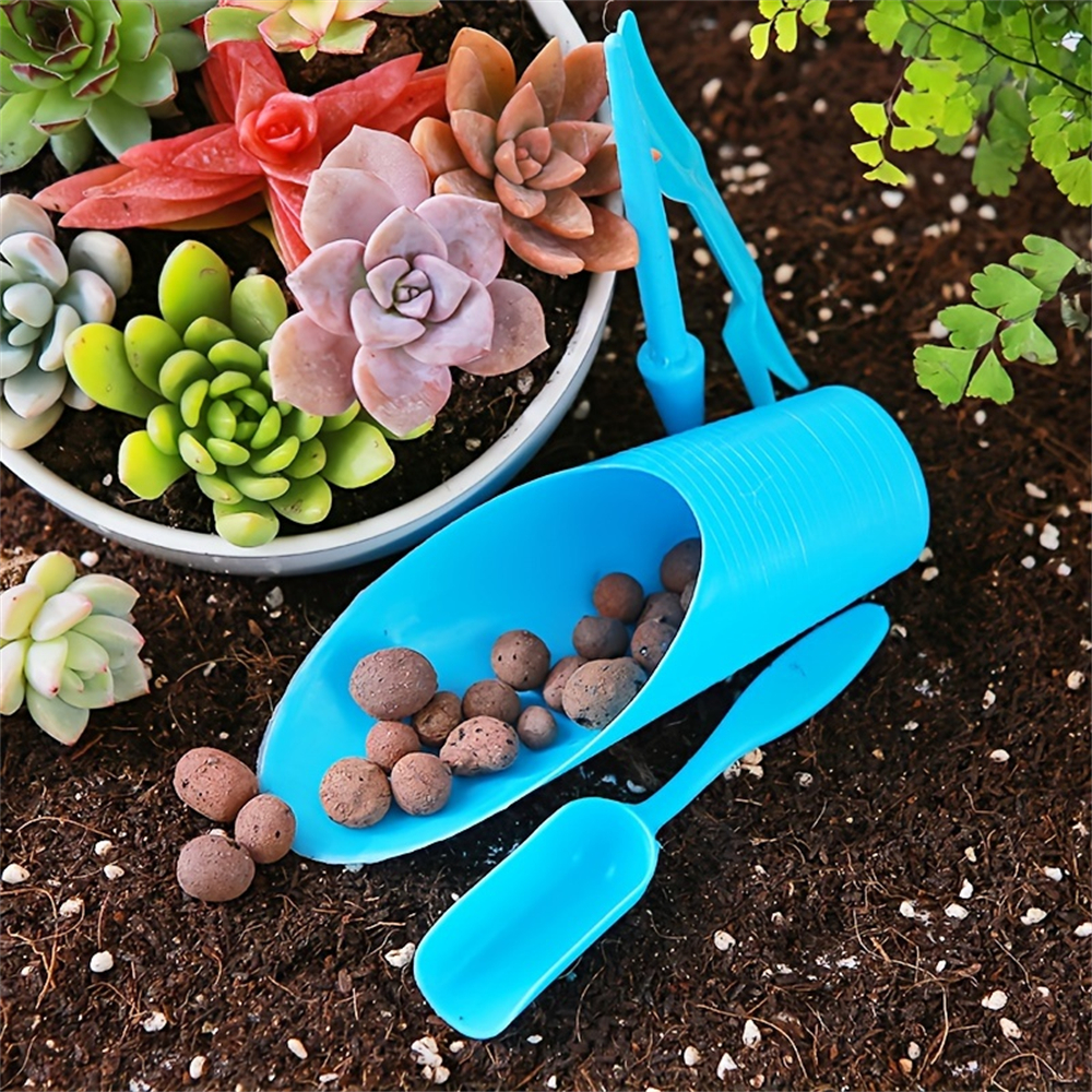 4-Piece Set of Succulent Garde - Food Storage Plants avaliação e preço