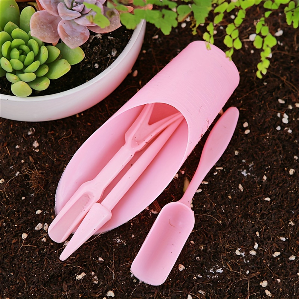 4-Piece Set of Succulent Garde - Food Storage Plants avaliação e preço