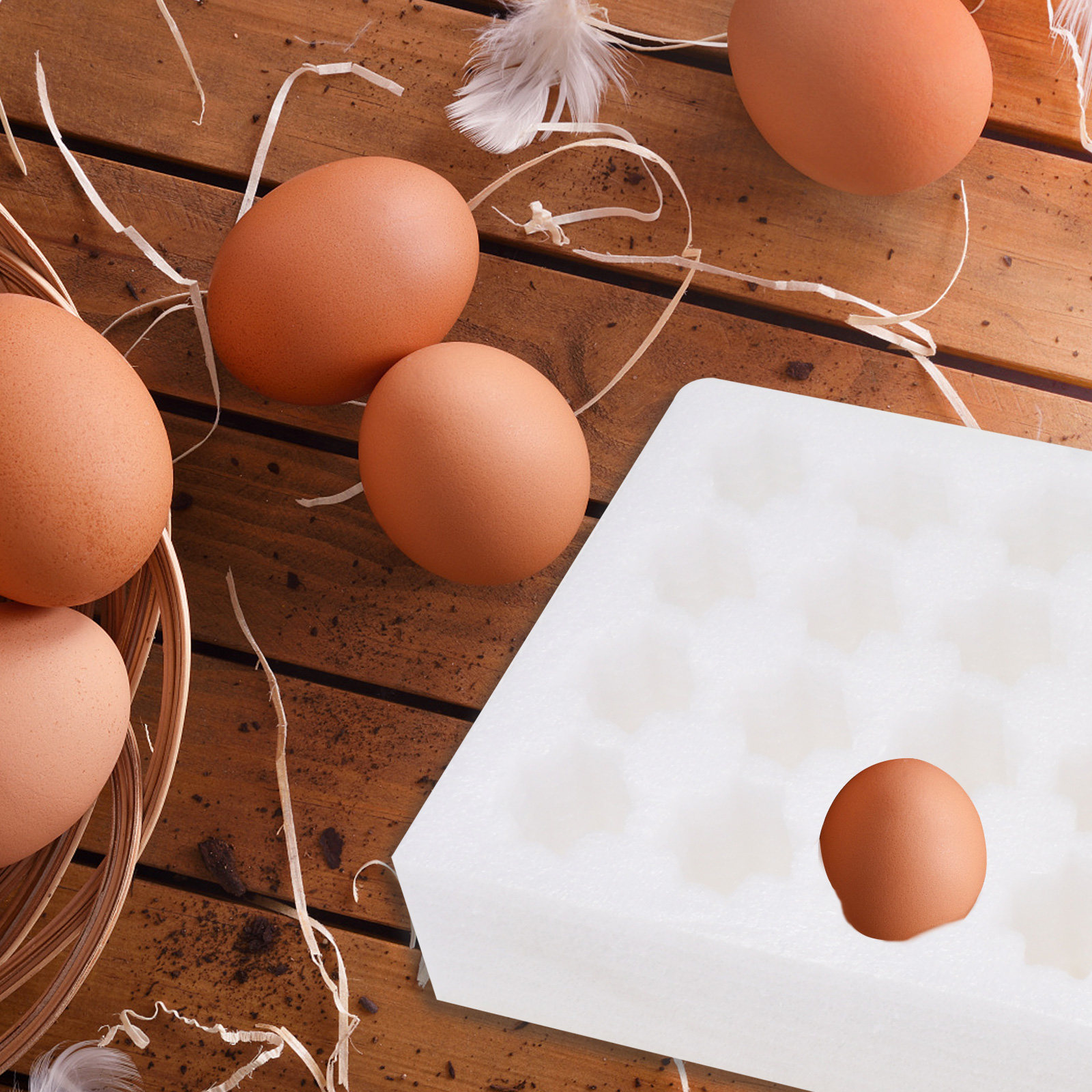 2 Pcs Egg Storage Holder Holdi - Egg Storage Holder avaliação e preço