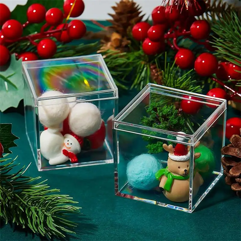 12 PCS Transparent Acrylic Box - Food Storage Organization avaliação e preço