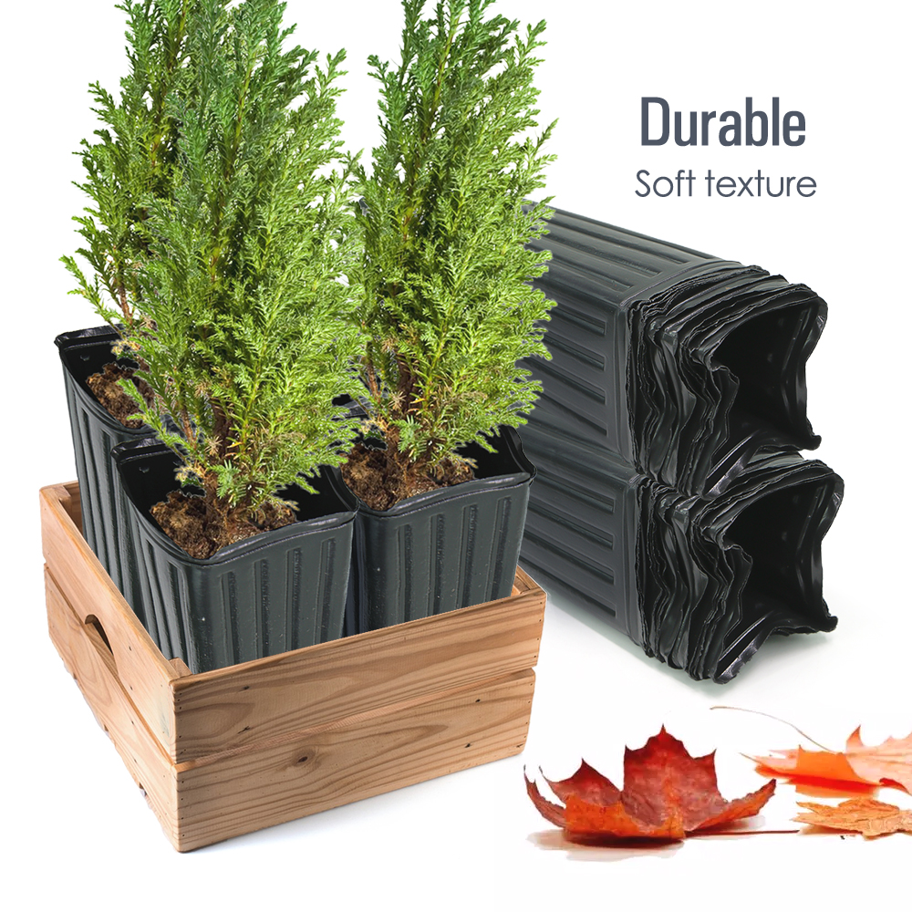 Square Tree Pot with Drainage  - Food Storage Plants avaliação e preço