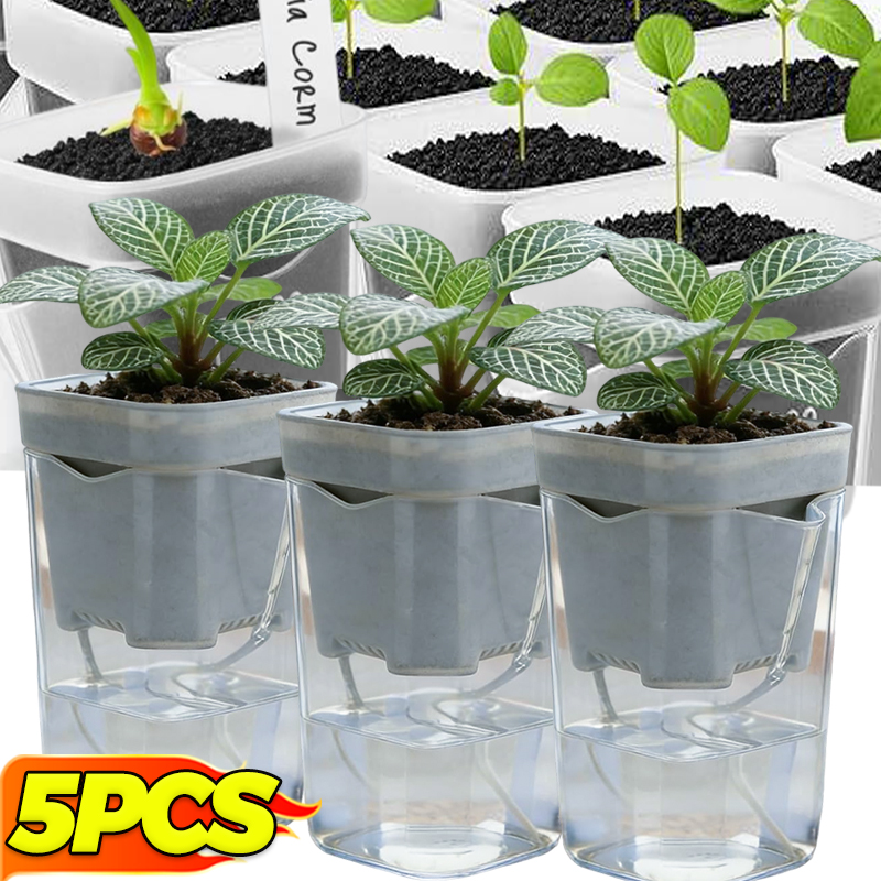 Transparent Flower Plant Pot S - Food Storage Plants avaliação e preço