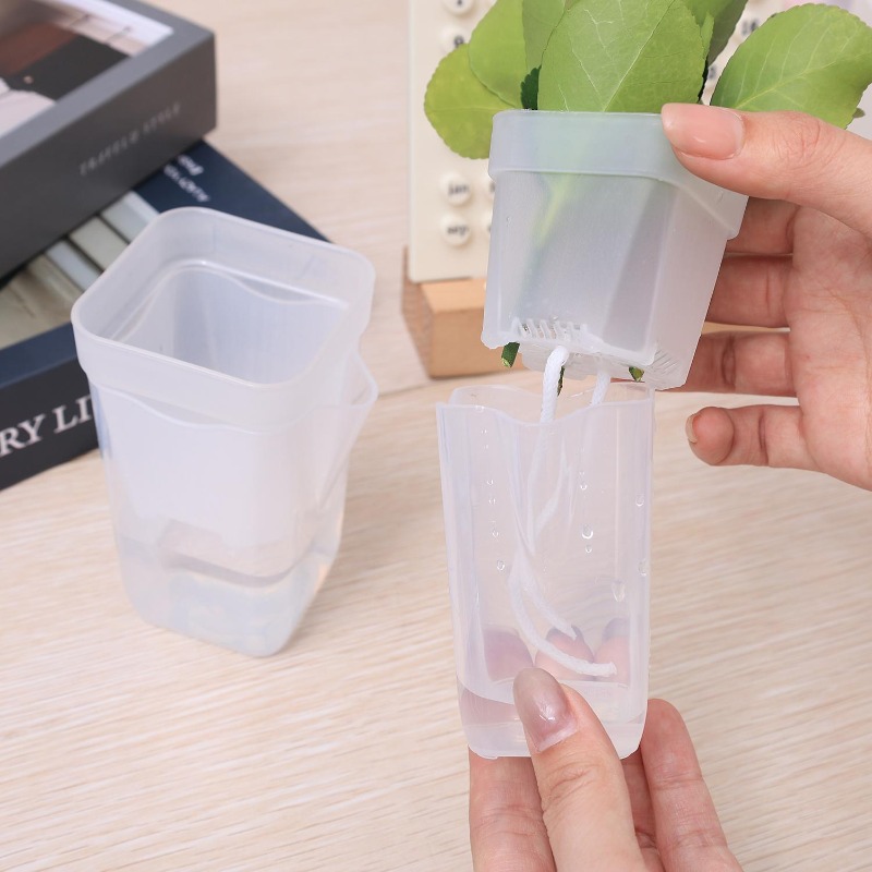 Transparent Flower Plant Pot S - Food Storage Plants avaliação e preço