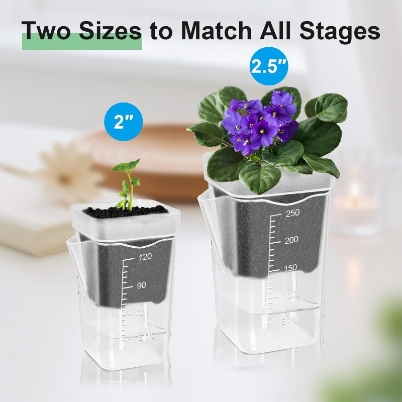 Transparent Flower Plant Pot S - Food Storage Plants avaliação e preço