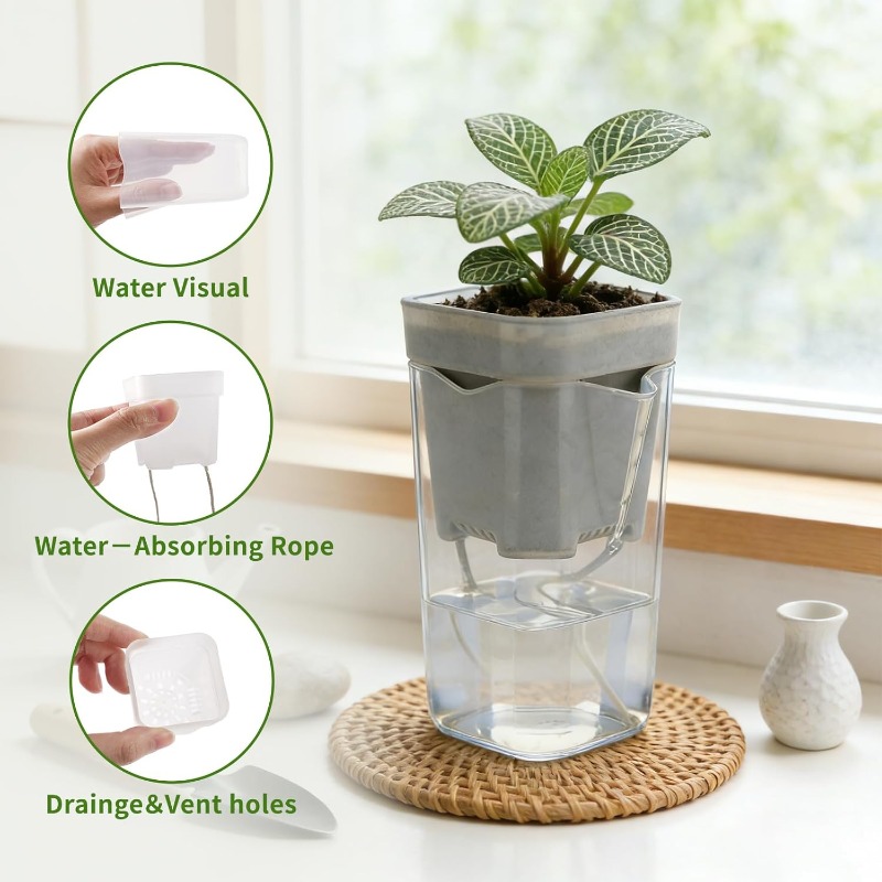 Transparent Flower Plant Pot S - Food Storage Plants avaliação e preço