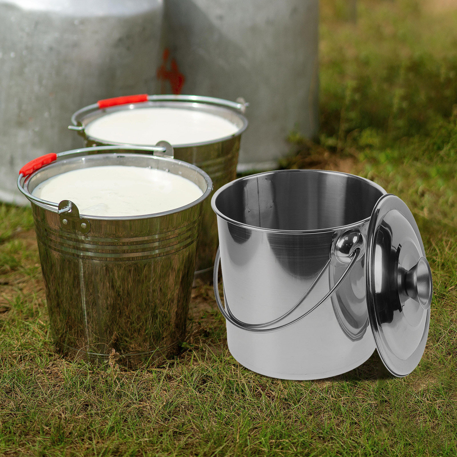 Stainless Steel Milk Bucket wi - Food Storage Restaurant avaliação e preço