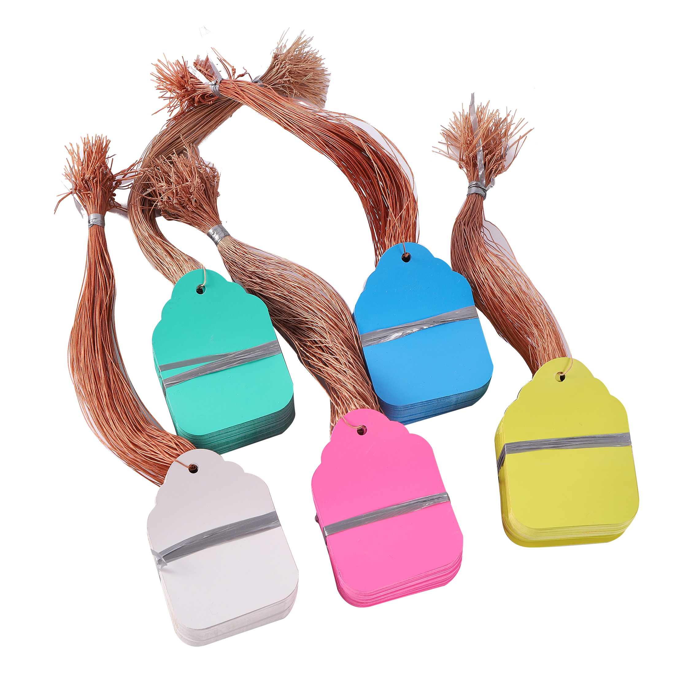100Pcs/Lot Plants Hanging Plan - Food Storage Plants avaliação e preço