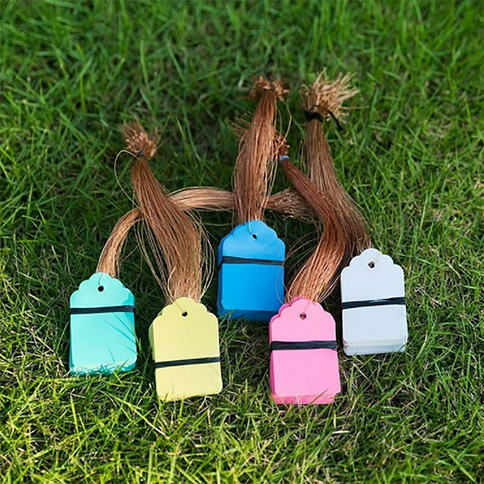 100Pcs/Lot Plants Hanging Plan - Food Storage Plants avaliação e preço