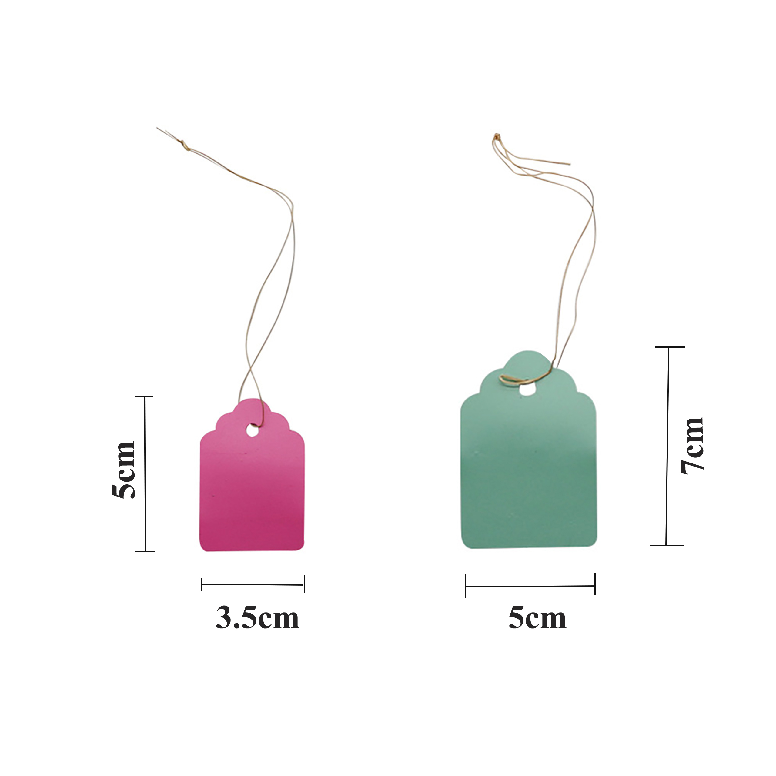 100Pcs/Lot Plants Hanging Plan - Food Storage Plants avaliação e preço