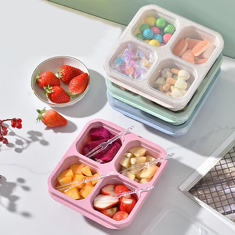 4 Grids Food Storage Box Porta - Food Storage System avaliação e preço
