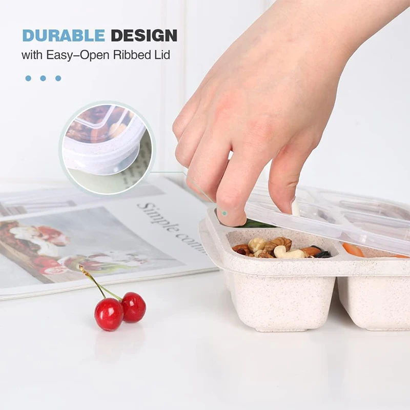 4 Grids Food Storage Box Porta - Food Storage System avaliação e preço