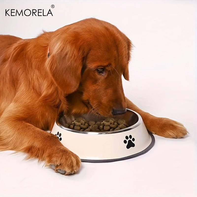 Stainless Steel Pet Dog Bowl F - Food Storage Small avaliação e preço
