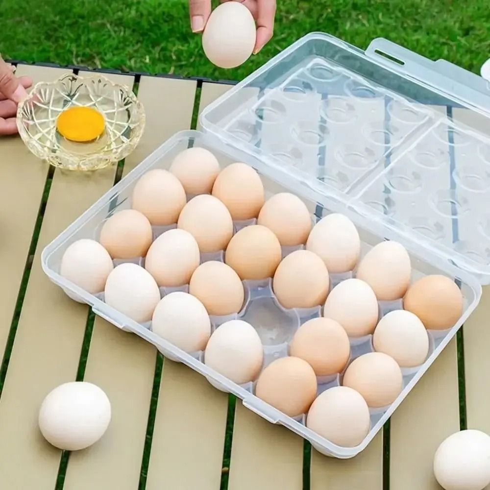 Plastic Egg Storage Box Anti-c - Food Storage Organization avaliação e preço