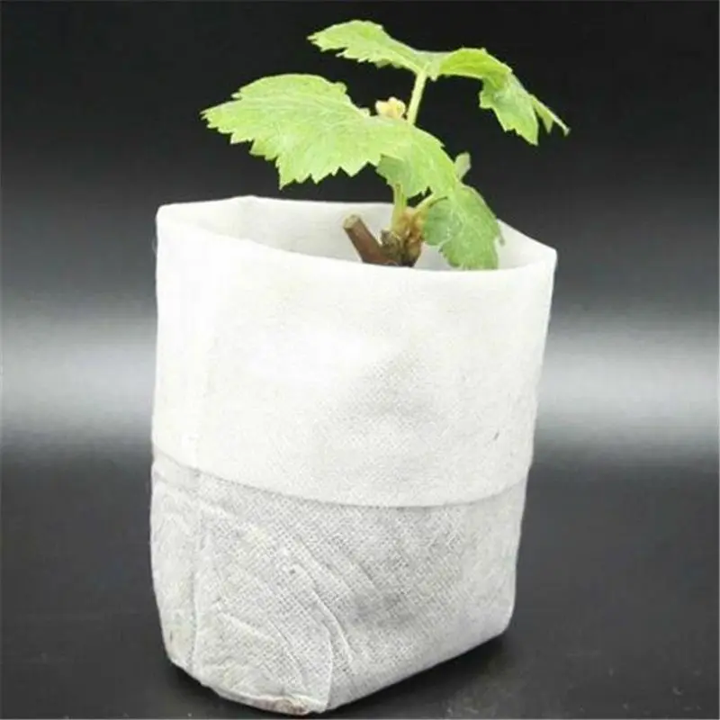 25/50/100pcs Different Sizes N - Food Storage Plants avaliação e preço