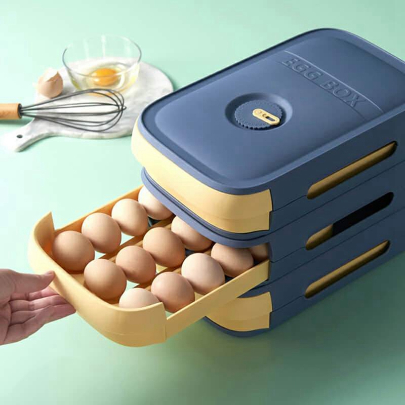 Egg Storage Container Refriger - Food Storage And Container avaliação e preço