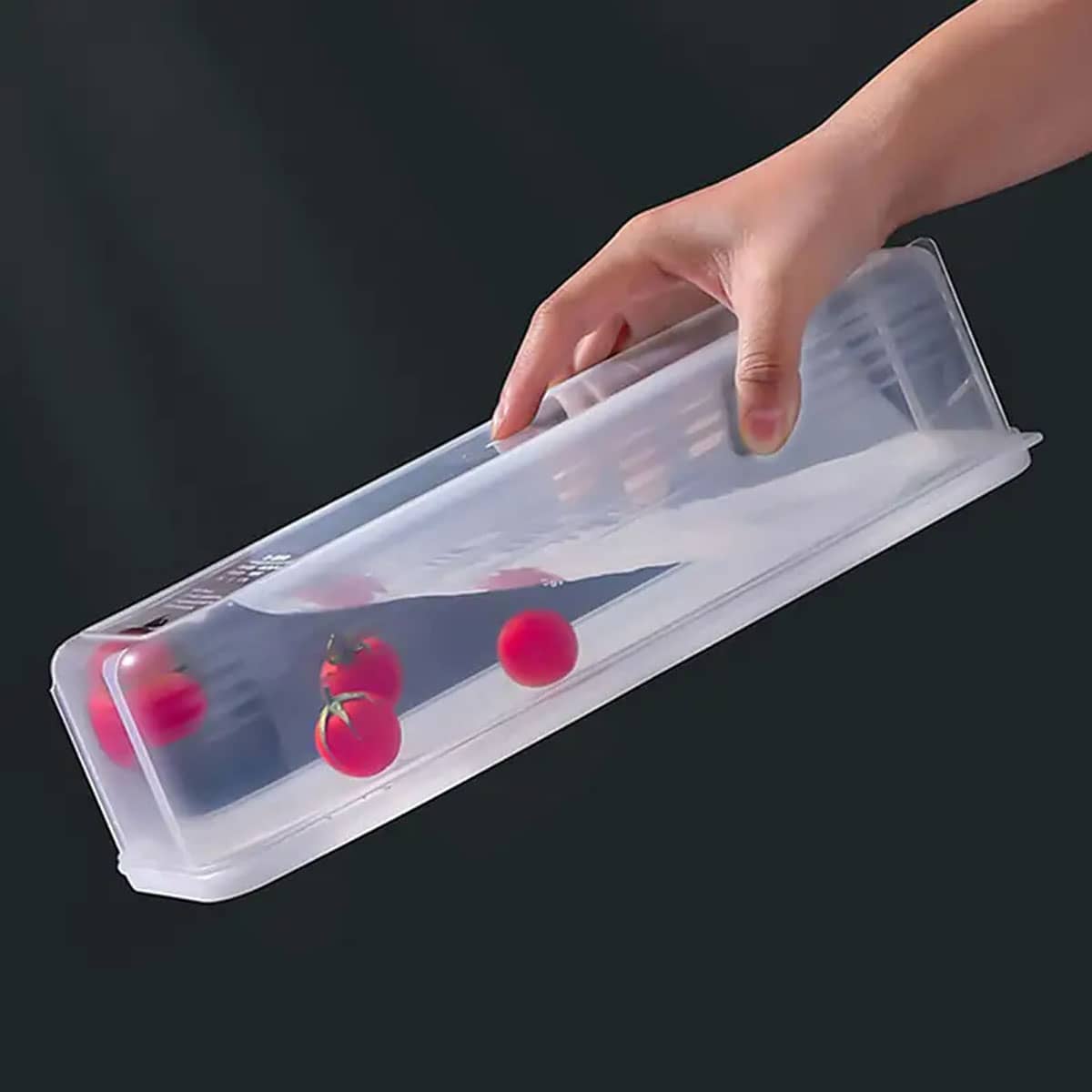 1 Plastic Transparent Storage  - Food Storage System avaliação e preço