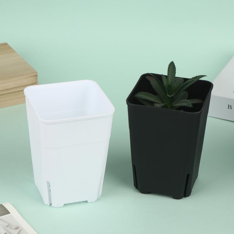 Seedling Pots Square Plastic P - Food Storage Plants avaliação e preço